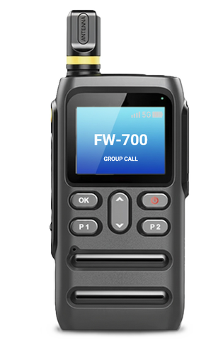 FW-700 - WIFI Radio